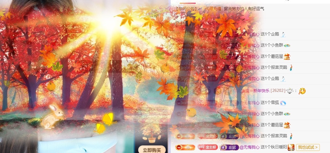 洁儿宝宝💗主播图片