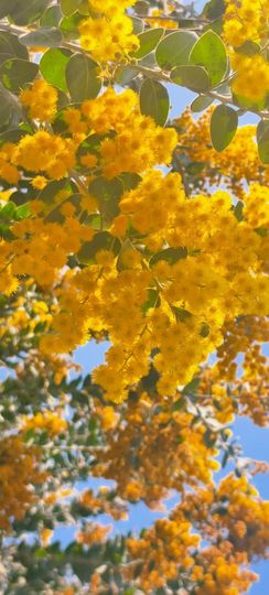 妞妞骑行古田县的图片