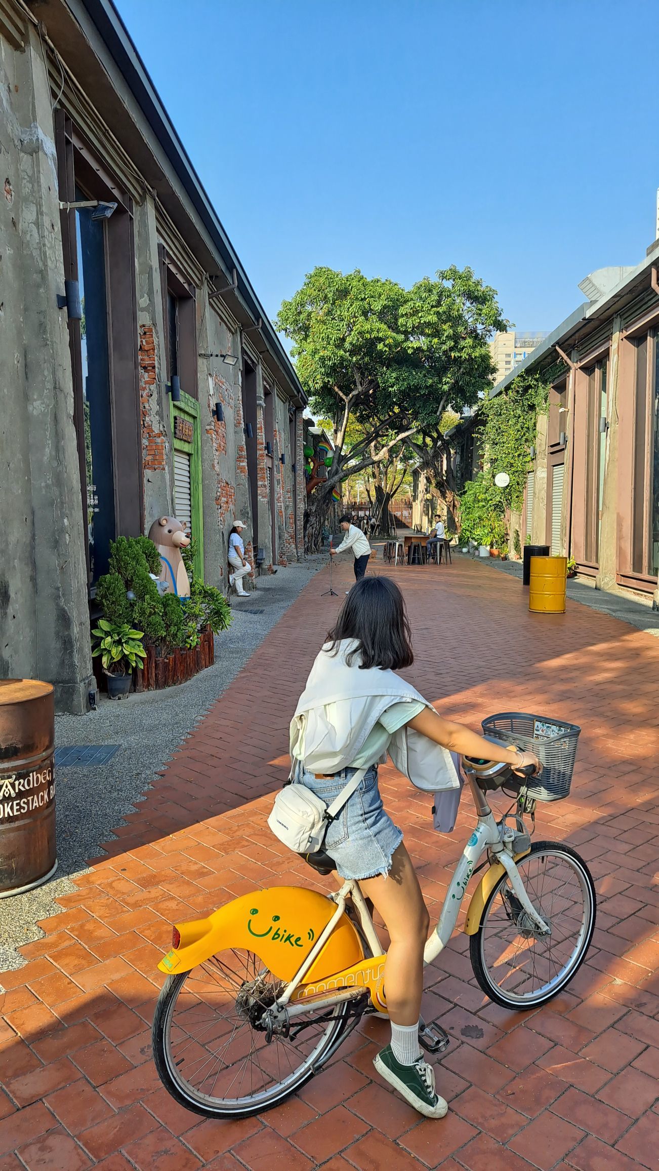 一只楚楚熊☆主播图片