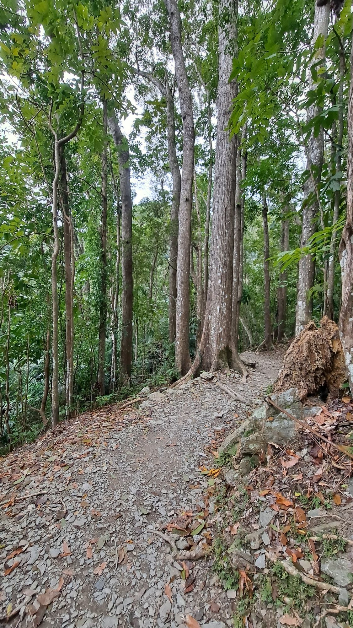 一只楚楚熊☆主播图片