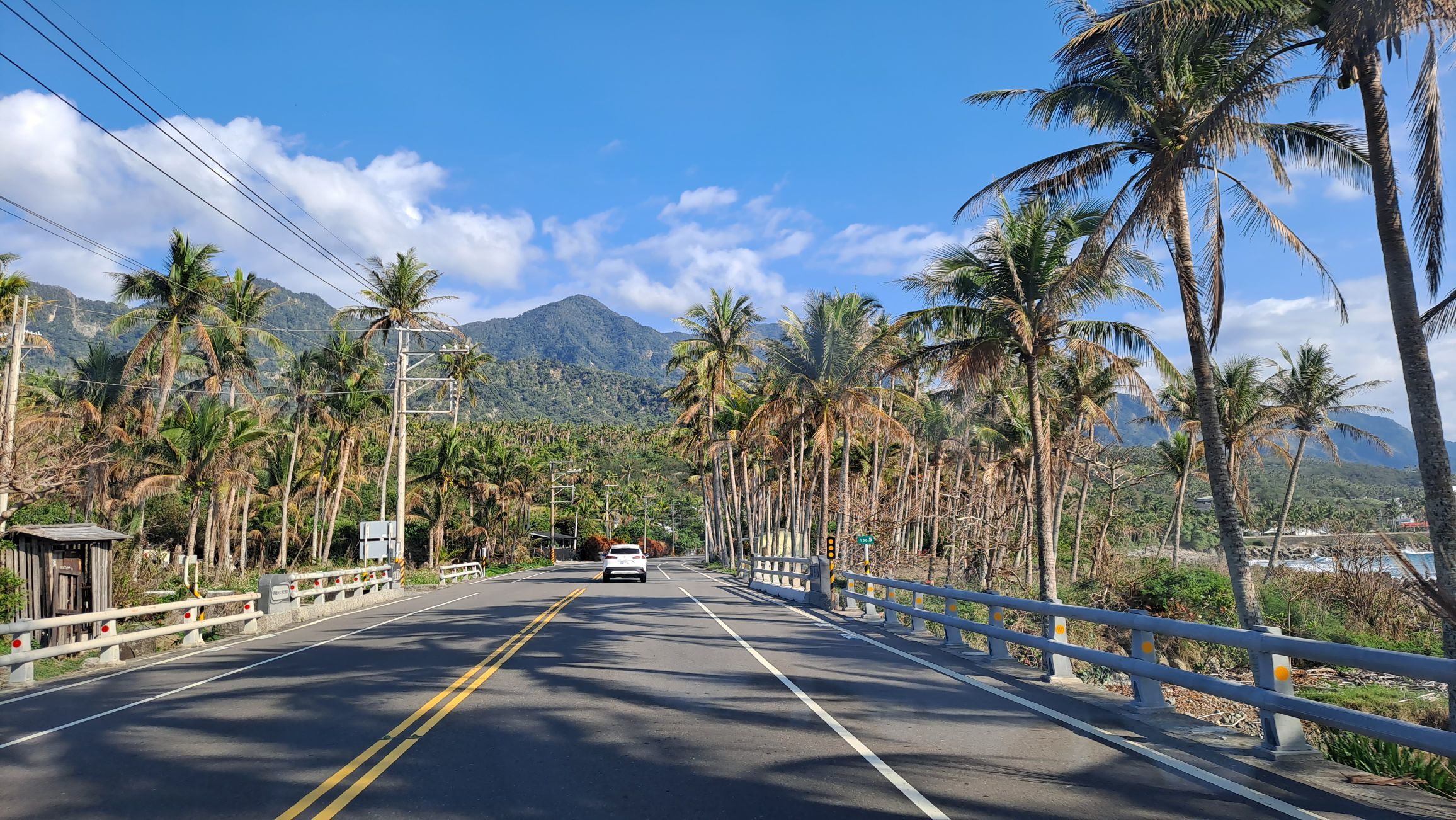 一只楚楚熊☆主播图片