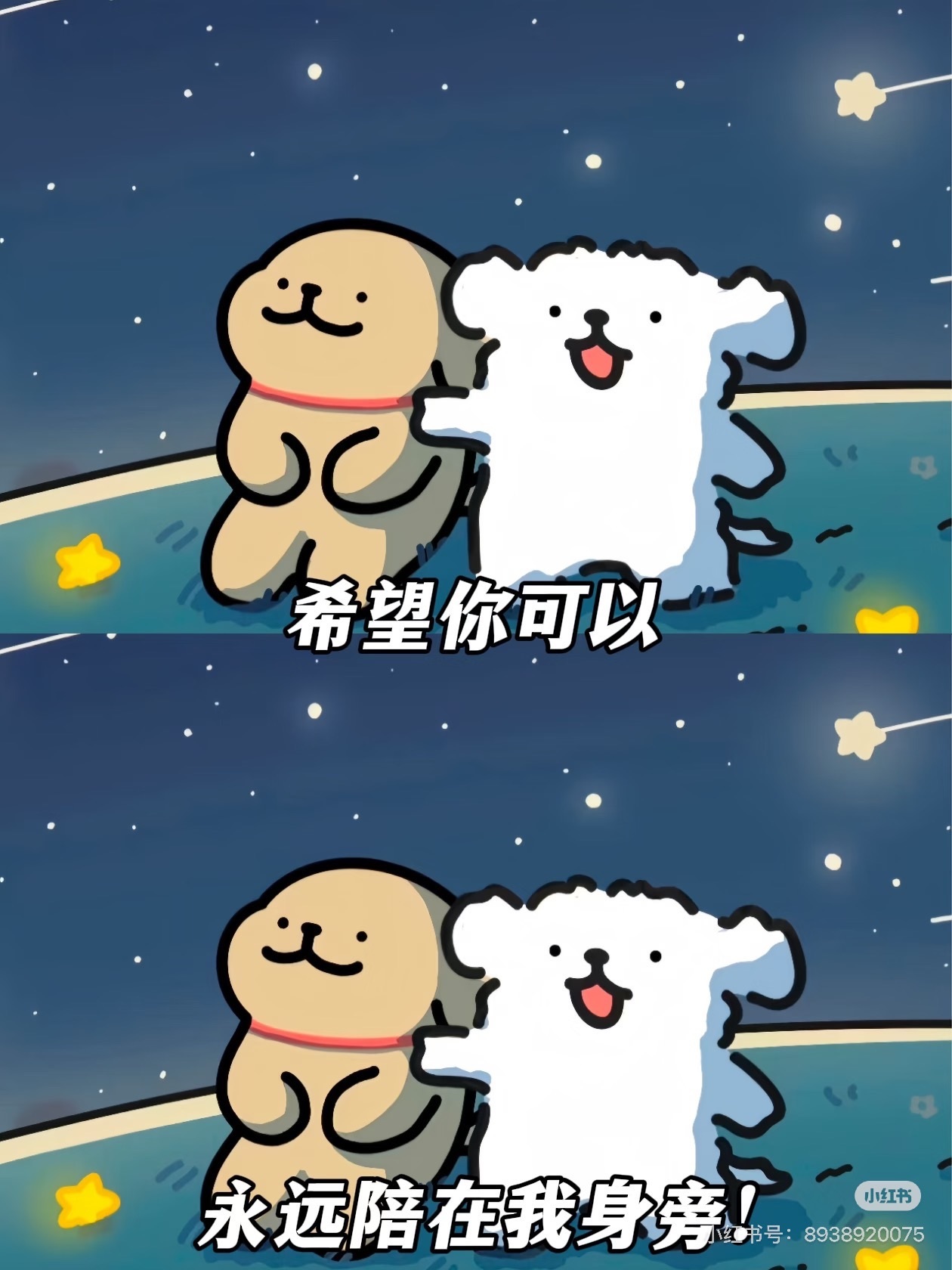 言和老板双升了主播图片