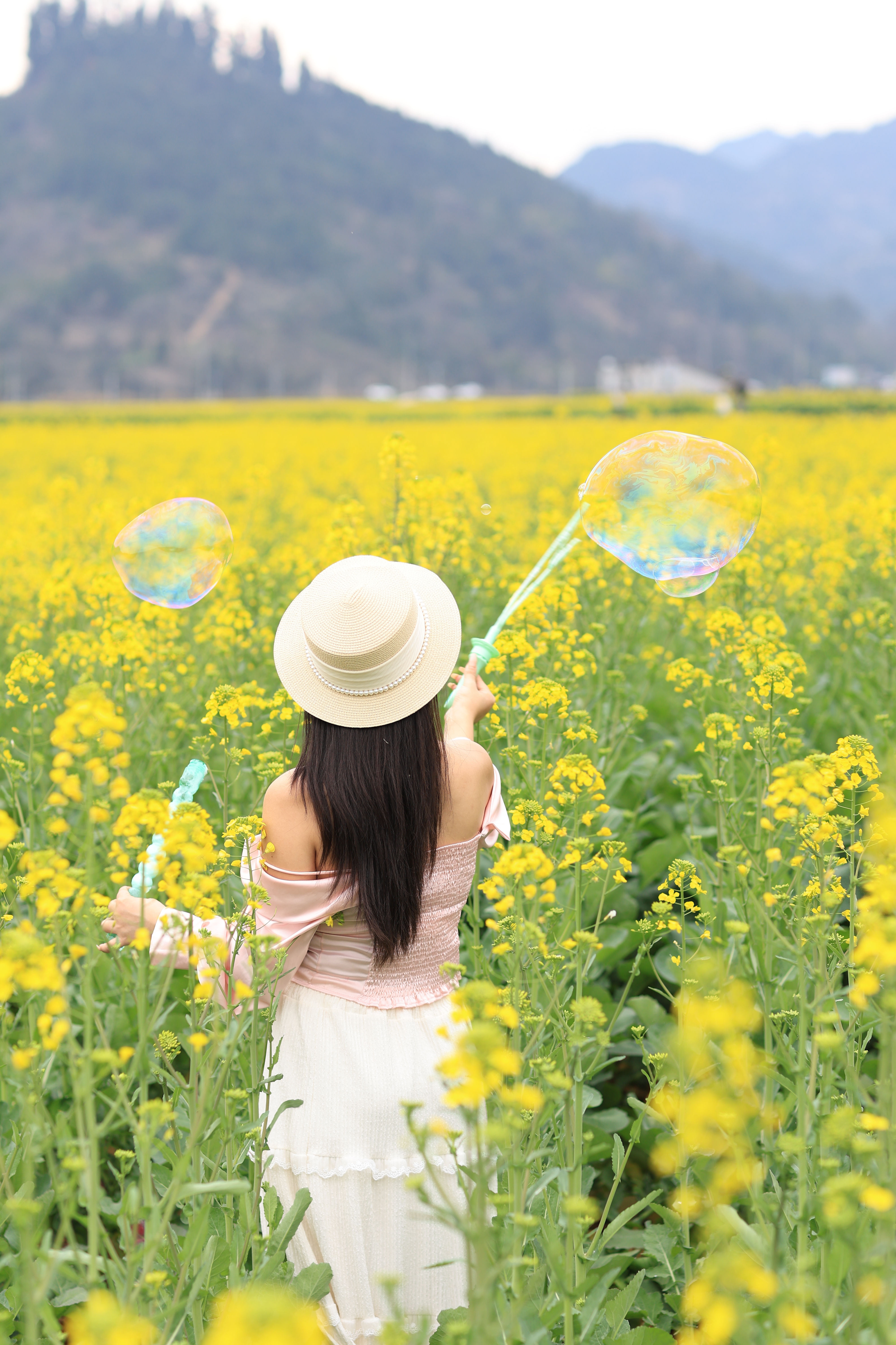 大元宝马年吉祥主播图片