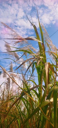 妞妞骑行古田县的图片