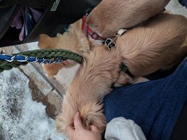 单身没人要没工作的图片