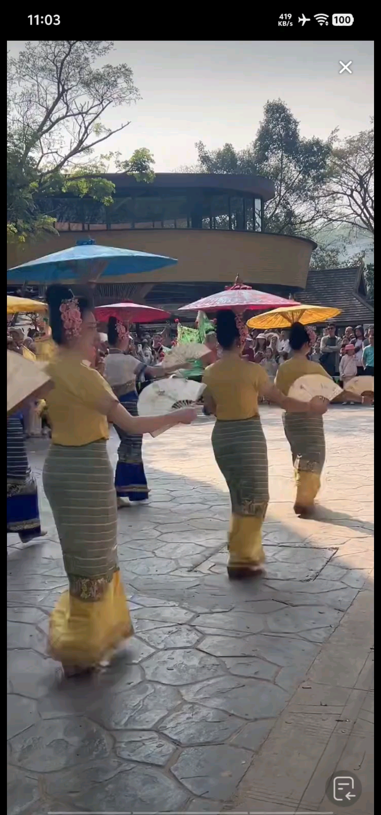 云南西双版纳傣族孔雀