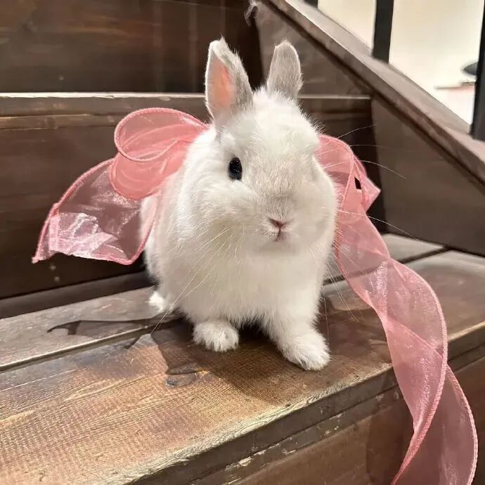 潔兒寶寶呀～主播圖片