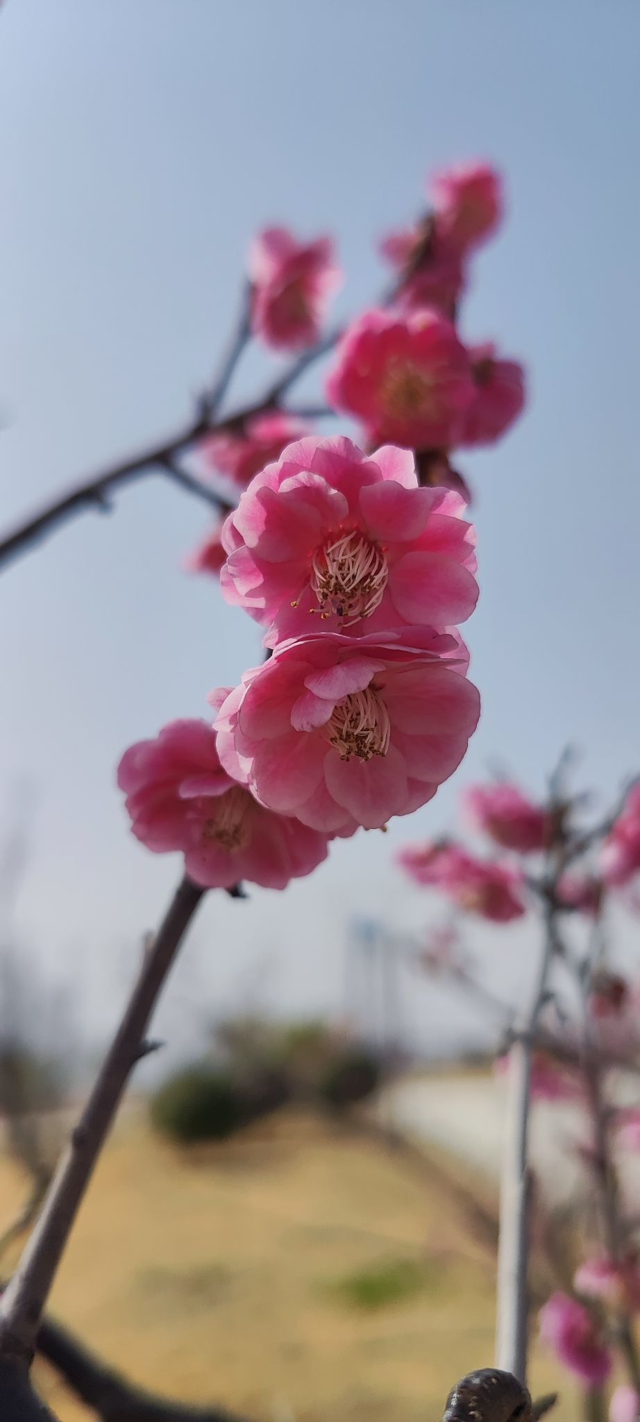 婷婷💕感恩有你陪伴主播图片