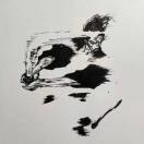 木讷的树hqc的头像