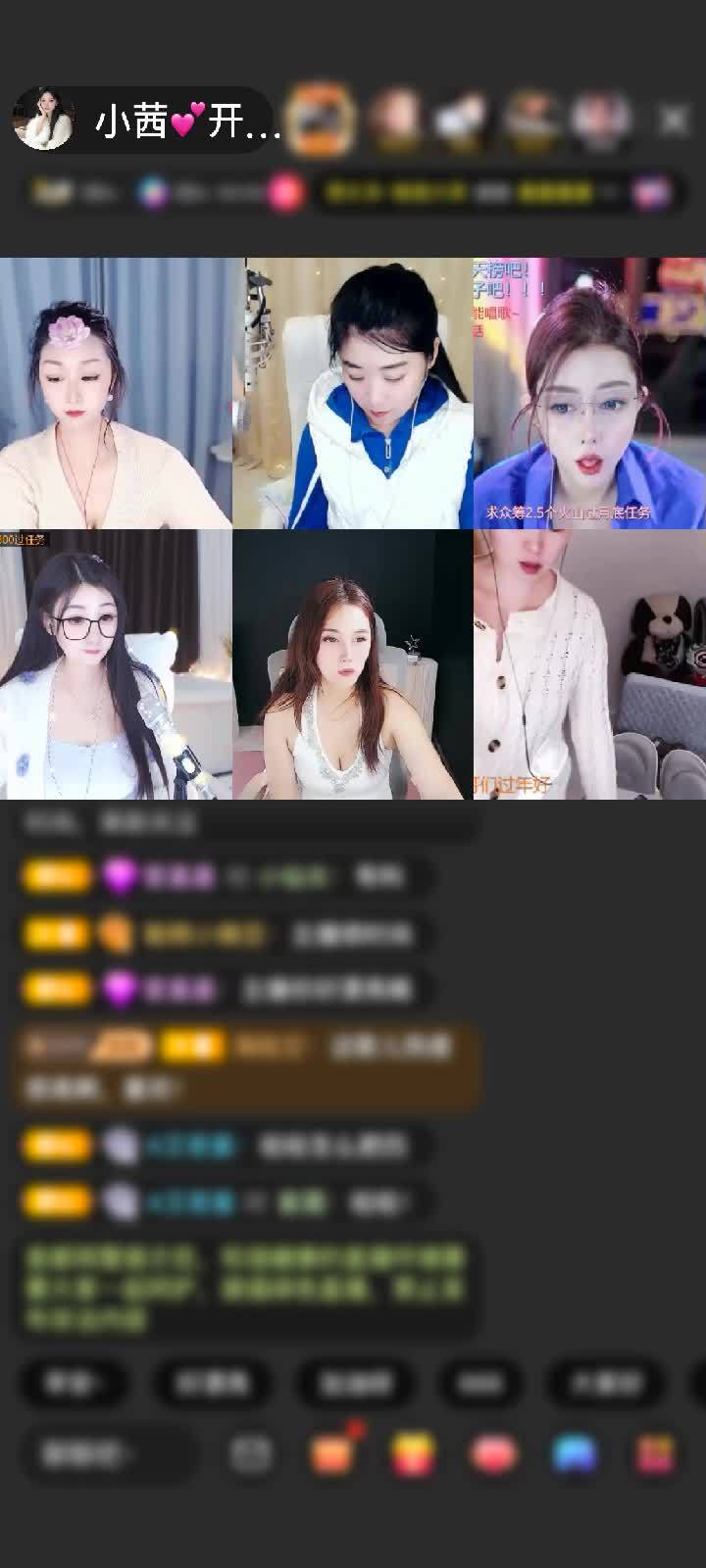 记录我浪浪带我逛每一次乐园