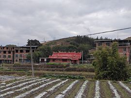 螺蛳粉超爱最美@叶子的图片