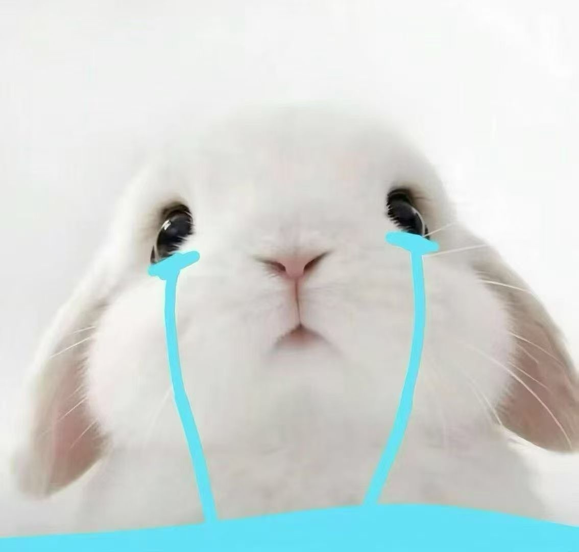 潔兒寶寶呀～主播圖片