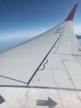 路灯下的街溜子~的图片