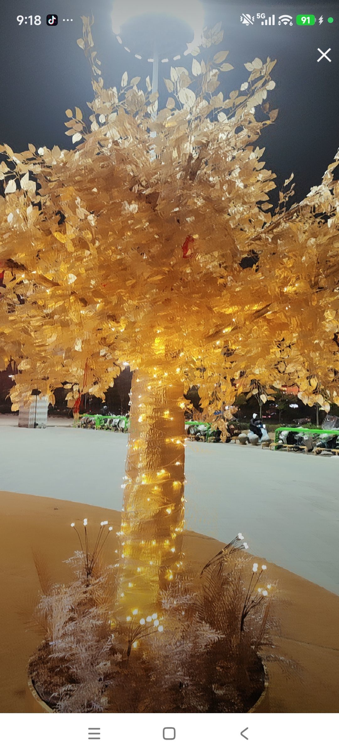 婷婷💕感恩有你陪伴主播图片