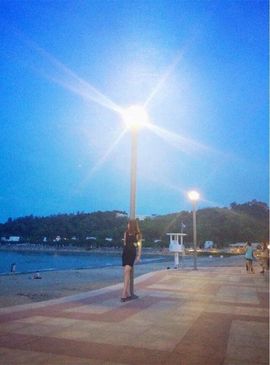 甜甜私房猫_的图片