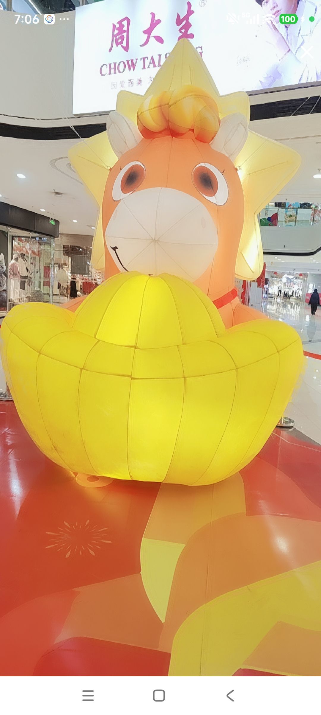 婷婷💕感恩有你陪伴主播图片