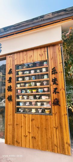 妞妞骑行南昌的图片