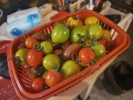 冰冰梓🎄赐一道光的图片