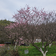 默默卟吵卟闹卟捣乱