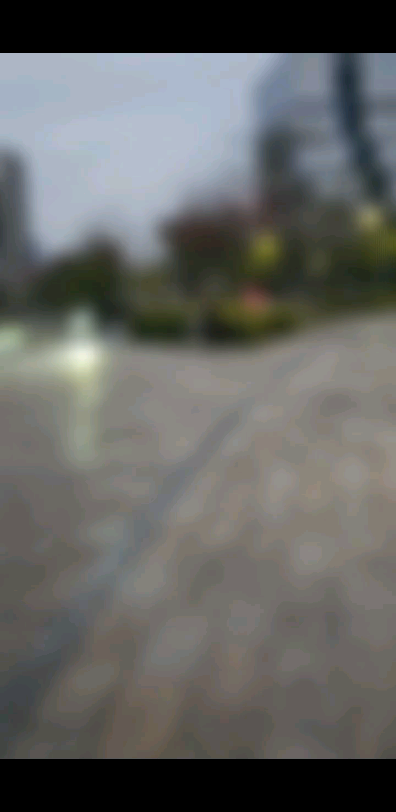 哈哈..猫猫雪儿妹妹