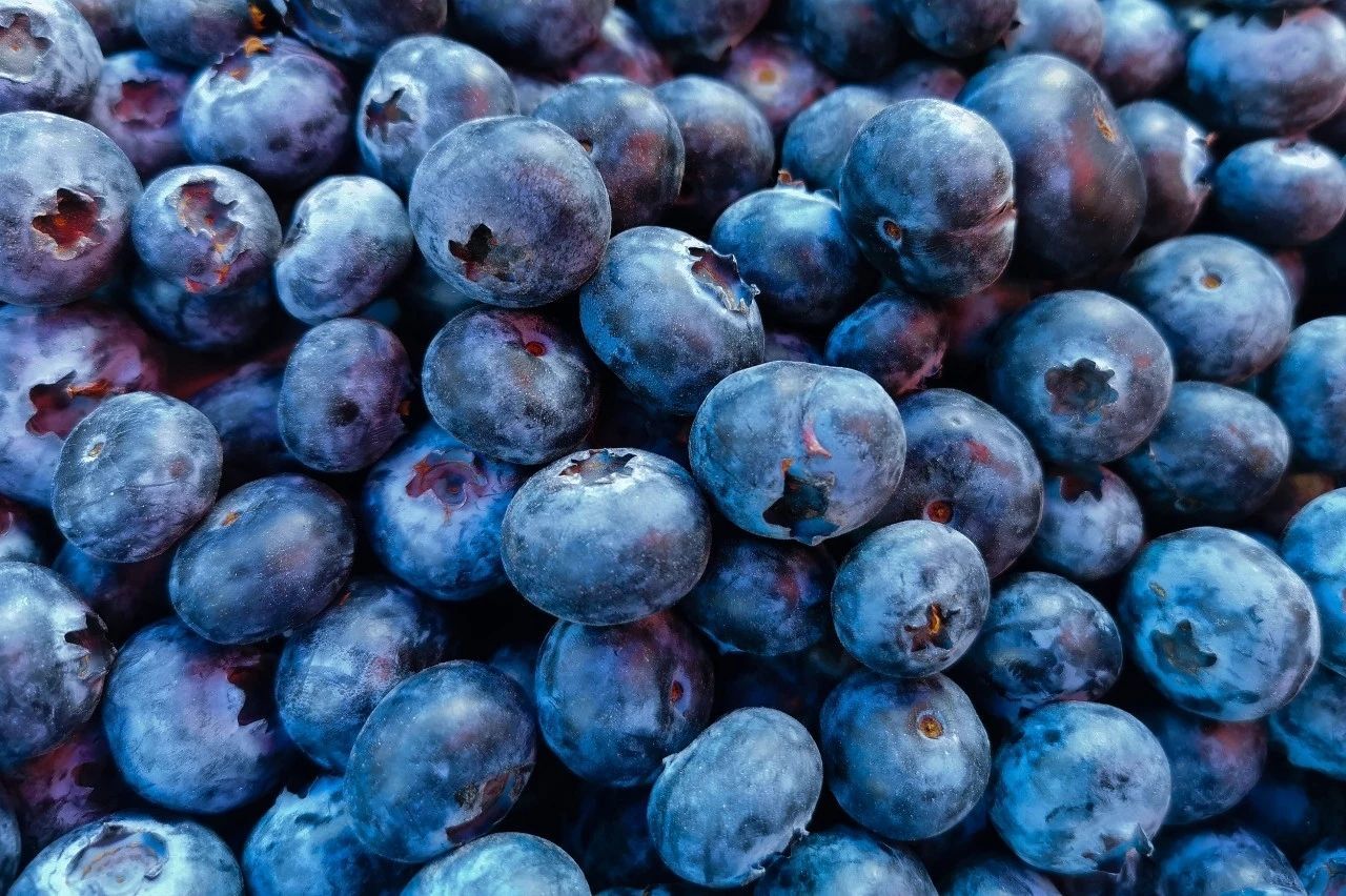 为你穿越1000英里的主播照片