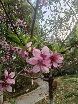 天王盖地虎虎044主播照片