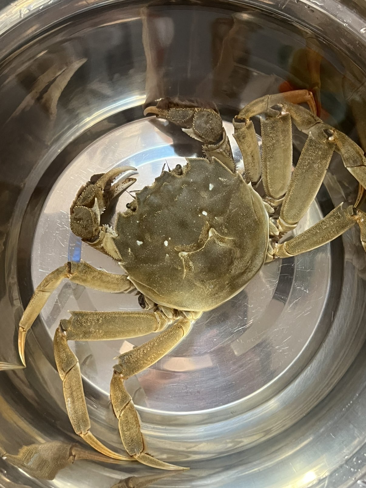 豆芽GG爆主播图片