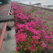 擦肩而过的风情