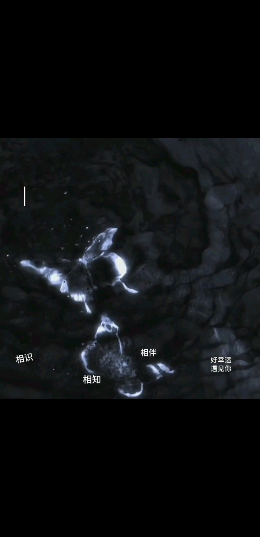 恭喜我大帅哥荣升创世