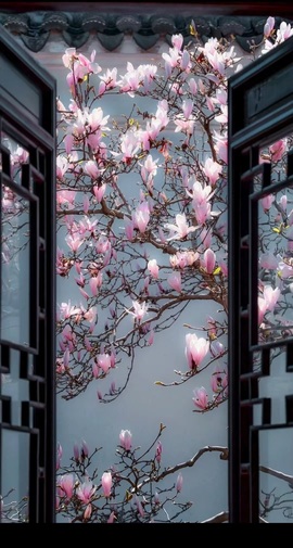 婷儿@所遇皆甜的图片