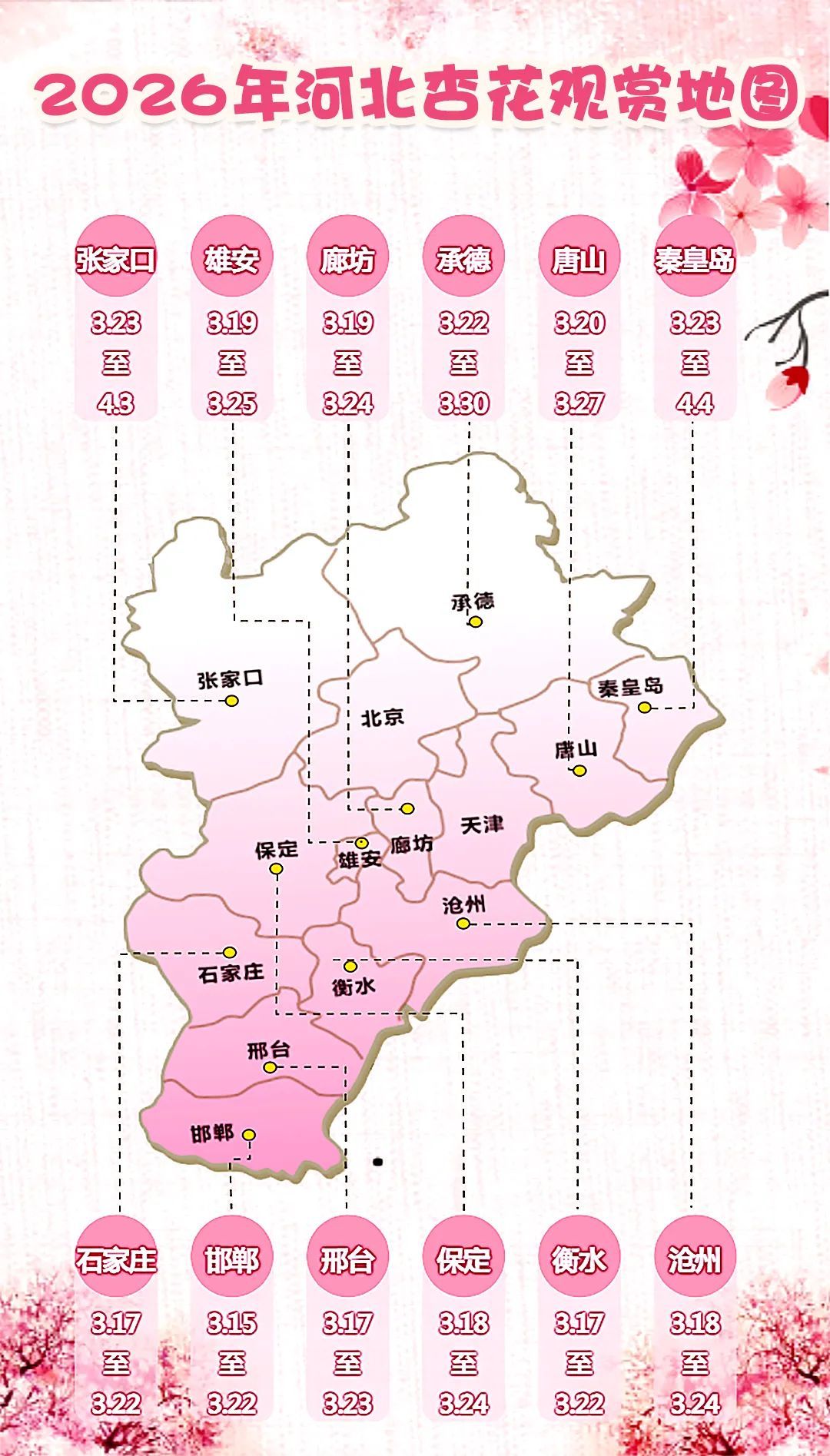 为你穿越1000英里的主播照片