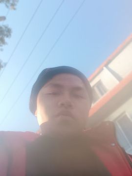 漂亮山羊的图片