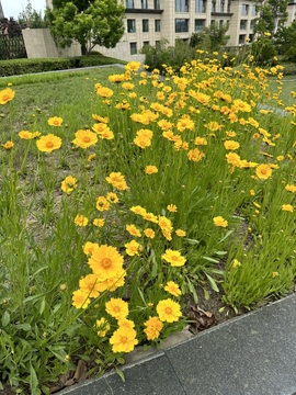 徐星然🎤正在唱歌主播照片