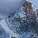 识途的老马的头像