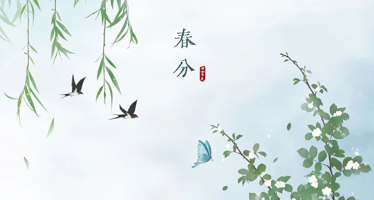 为你穿越1000英里的主播照片