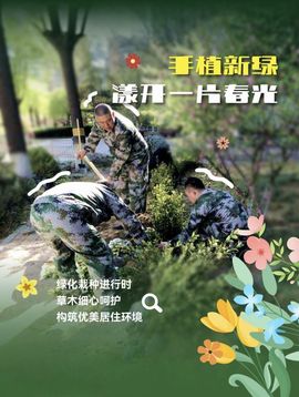 远方的过客🫧的图片