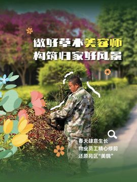 远方的过客🫧的图片
