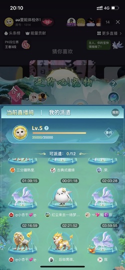 多尔衮2007的图片