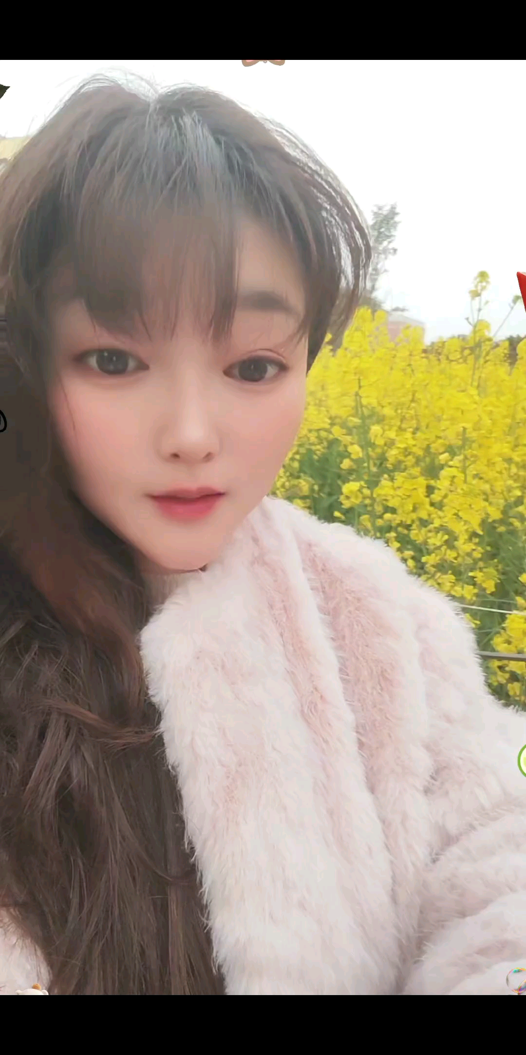 一直都想对你说，你给