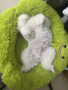 徐星然🎤正在唱歌主播照片