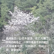 想跟你打个寒战的头像