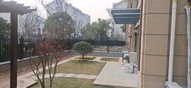 穷不怕，还有技能画饼的图片
