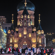 杨树毛毛满天飞🌾的头像