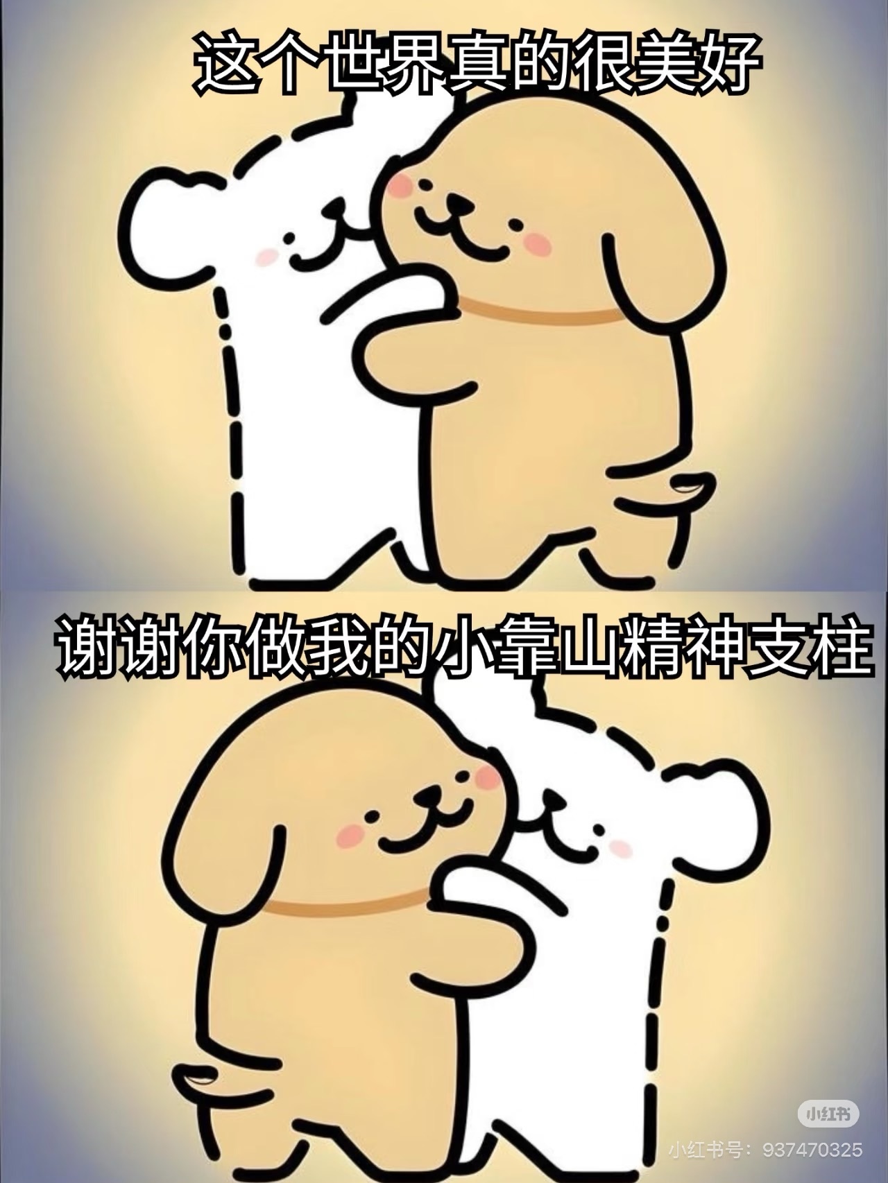 言和老板双升了主播图片