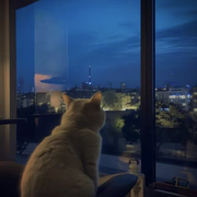 顺其自然3333的头像