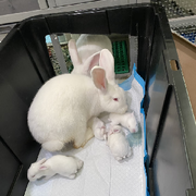 🌿游走在嘻哈间🌿的用户头像