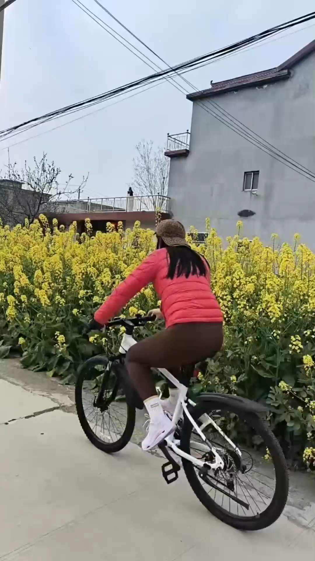 心栖田园，不问喧嚣，