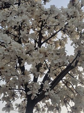 念念念念念念念念念的图片