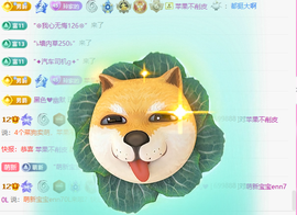A代理❤玲儿❤的图片