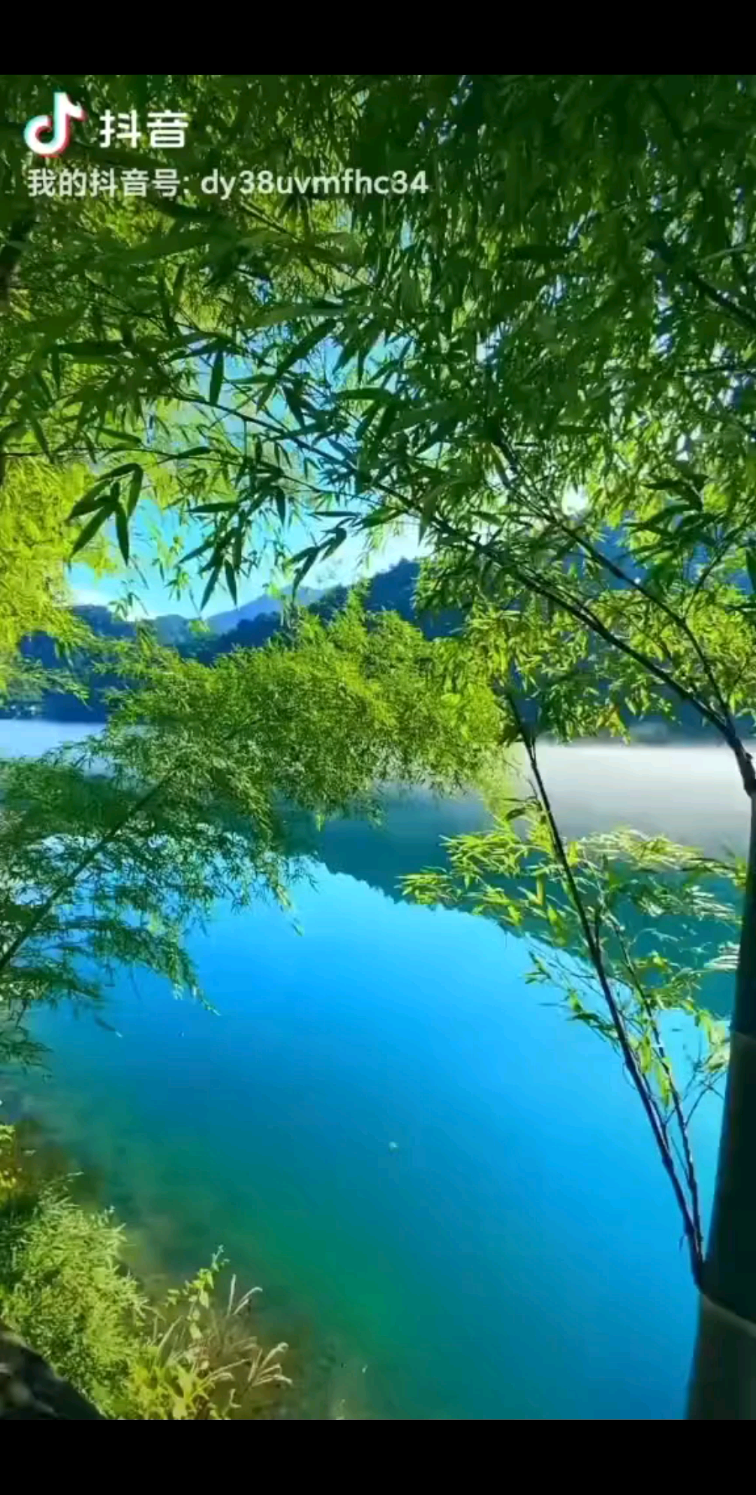 有一种境界叫放下。